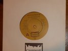 Sylvia Striplin: Give Me Your Love '80 UK Champagne FIZZ 504 Superb MINTY copy