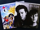 MFSL 2 LP SET   TEARS FOR FEARS  ** NEW PROMO **   THE BIG CHAIR + SEEDS OF LOVE