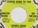 HERBIE GOINS & NIGHT TIMERS Coming Home To You CAPITOL 45 northern soul NM HEAR
