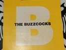 The Buzzcocks - The Peel Sessions Album (Fantastic Condition Vinyl)