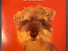 JULIAN COPE Droolian LP UK ORIGINAL