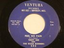 TERRY DEE & THE ROAD RUNNERS Feel No Pain / Some Other Guy VENTURA MS GARAGE