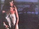 ID34z - Linda Ronstadt - Hasten Down The Wind - K53045 - vinyl LP