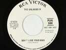 Garage Psych 45 - Galaxies IV - Don't Lose Your Mind - RCA Victor - VG++ mp3