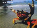 ID1034z - The Prodigy - The Fat Of The Land - XLLP 121