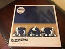 BLOSSOMS LP x 2 Cool Like You Vinyl RECORD STORE DAY 2019  + Exclusive Tracks
