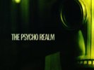 PSYCHO REALM (HOL) VINYL LP NUEVO