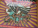 Sufjan Stevens AMERICA & MY RAJNEESH 12