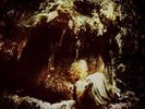 Celestial Lineage by Wolves In The Throne Room (180gm LPX2, 2011 SL, US,LORD142)