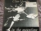 Ciao Jumbo ?- In The Meantime AC 4531 Italy 1985 12