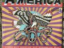 Sufjan Stevens America My Rajneesh 12