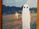 Phoebe Bridgers - Stranger In The Alps (Limited Edition Mystery Blue Vinyl LP...