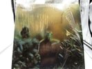 STEELY DAN - KATY LIED LP IN SHRINK Kundun VINYL 1975 ABCD-846 VG+ cover VG+