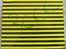 Chris Knox - Seizure - 1990 Flying Nun LP