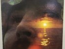 David Crosby 
