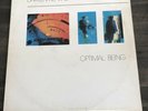 DARREN KEARNS OPTIMAL BEING LP'80 ELECTRONICA EXPERIMENTAL SYNTH AMBIENT NEW AGE