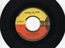 The Mandells 45 Darling Im Home/Who Me CHESS original DOO WOP M-  194