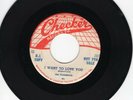 The Flamingos 45 I Want To Love You/Please Come Back CHECKER PROMO Doo Wop 273