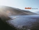 Incubus Morning View MOV audiophile 180gm vinyl 2 LP gatefold NEW/SEALED