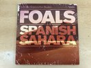 Foals - Spanish Sahara 7