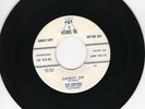 The Empires 45 Zippety Zip/If Im A Fool AMP 3 orig promo DOO WOP M-  176