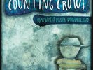 Counting Crows - Somewhere Under Wonderland Vinyl LP Ltd Blue New 2019