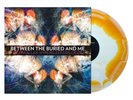 Between the Buried and Me 