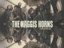 HAGGIS HORNS, The - Stand Up For Love - Vinyl (LP)