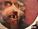 WARREN ZEVON Werewolves of London 1978 Promo Picture Disc Single LP