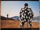 PINK FLOYD - DELICATE SOUND OF THUNDER  - VINYL LP  EX/EX - 1988 ITA PRESS