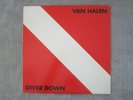 VAN HALEN   DIVER DOWN  VINYL RECORD LP...WHERE HAVE ALL THE GOOD TIMES GONE