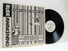THE RUDE AWAKENING - TODAY'S SHARPEST ESSENTIAL SKA various LP EX/EX-, WAKE 1,