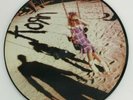 Korn - S/T LP 1994 US ORIG Picture Disc Immortal Rage Limp Bizkit Nu Metal VINYL