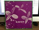 Raven “Back To Ohio Blues”used VG+++ lp Rockadelic,US 1995 acid rock, hard rock