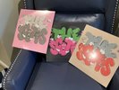 travis scott the scotts vinyl X Kaws 12”