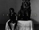 6LACK- FREE 6LACK LP BRAND NEW VINYL RECORD FAST SHIPPING