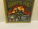 GRATEFUL DEAD SELF TITLED LP 1967 FIRST PRESS MONO RUNOUT SAME AS PROMO 1A/1A