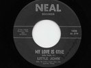Little John, Johnny Truitt - My Love Is Gone / Looking For My Picture (45) 1236