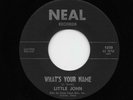 Little John, Johnny Truitt - What's Your Name / Please Be Mine (Soul, 45) 1239