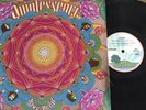 QUINTESSENCE..DIVE DEEP..UK IST ISSUE PINK RIM ISLAND LABEL ILPS 9143 Ex COPY