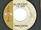 Northern Soul 45 Pookie Hudson  Jamie  1319