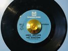 THE WINSTONS * AMEN BROTHER * NORTHERN MODERN SOUL FUNK BREAKS R&B ??
