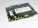WEEZER | Africa Rosanna | OOP SEALED US 7-Inch GREEN Vinyl Single 45 RPM