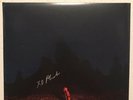 Phoebe Bridgers: Punisher Autographed Coloured Vinyl LP Signed 12x12 Litho
