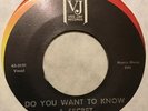The Beatles   Vee Jay 45   Thank You Girl   ORG US   1963