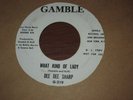 Dee Dee Sharp What Kind Of Lady WLP DJ copy Northern Soul 45 on Gamble Nice