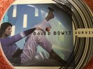 David Bowie 2000 UK Limited Edition Mint Picture Disc Survive 7” 45rpm