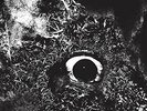 PRIMITIVE MAN-IMMERSION VINYL LP NEW