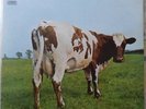 PINK FLOYD LP ATOM HEART MOTHER 1976 ITALY REISSUE VG++/VG++