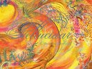 JOHN ZORN - PELLUCIDAR - A DREAMERS FANTABULA NEW VINYL